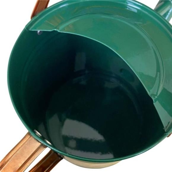 Metal Watering Can for Outdoor and Indoor Plants, 1 Gallon - Summer Gardening - Picture 5 of 8